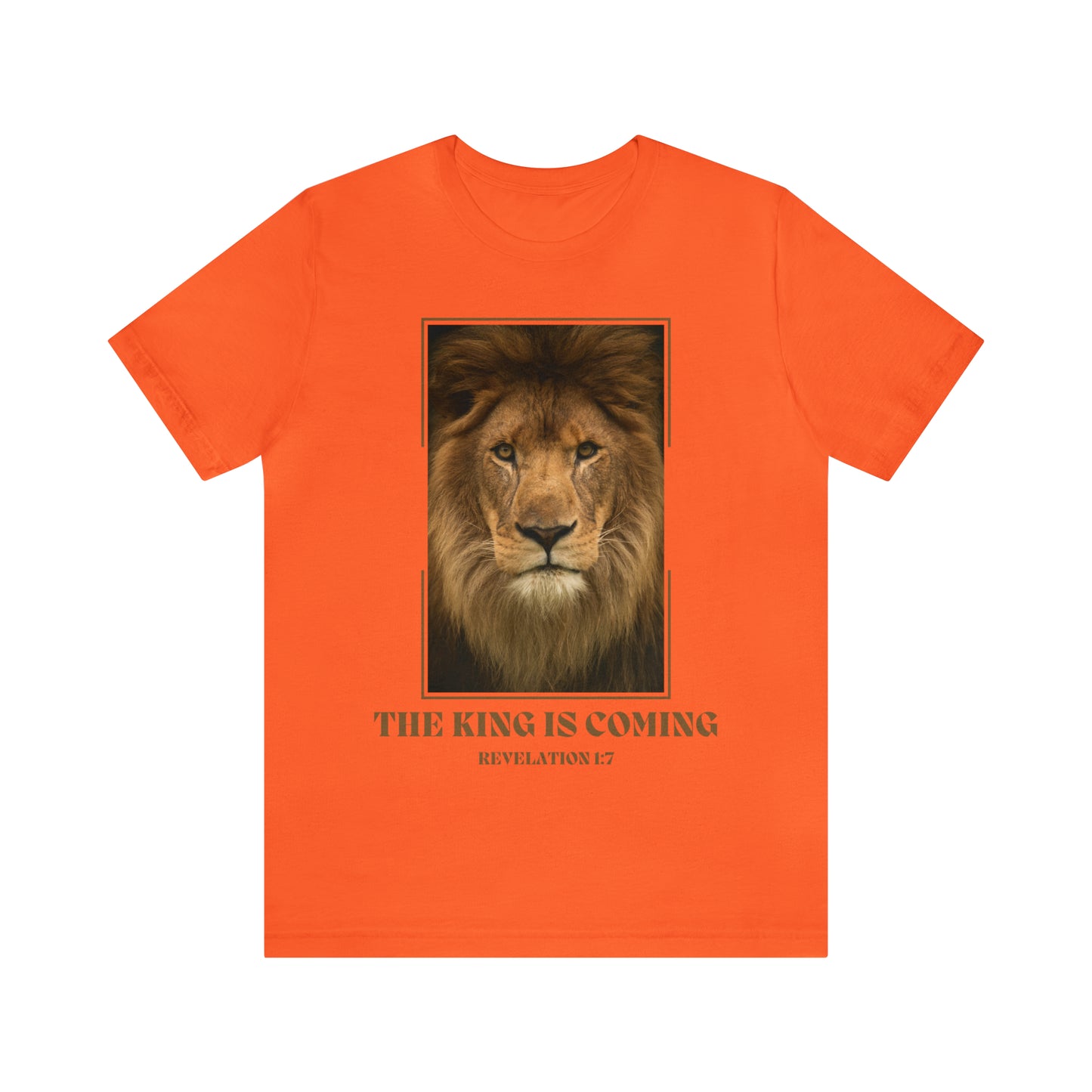 aslan shirt